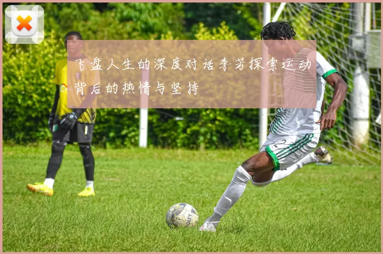 飞盘人生的深度对话李芳探索运动背后的热情与坚持